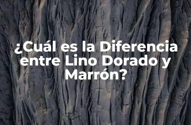 ¿cuál es la Diferencia entre Lino Dorado y Marrón?