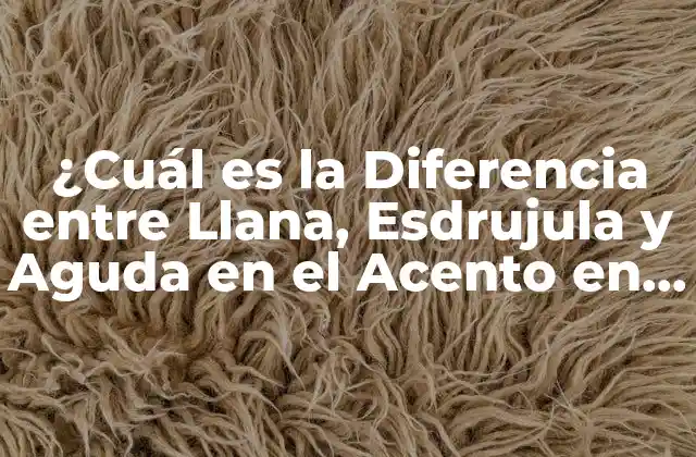 ¿cuál es la Diferencia entre Llana, Esdrujula y Aguda en el Acento en Español?