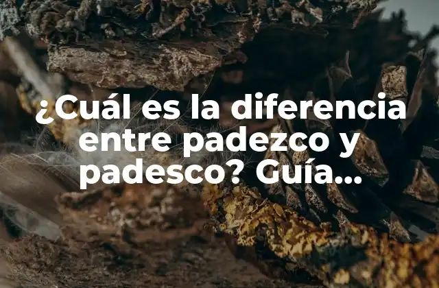 ¿cuál es la Diferencia entre Padezco y Padesco? Guía Completa