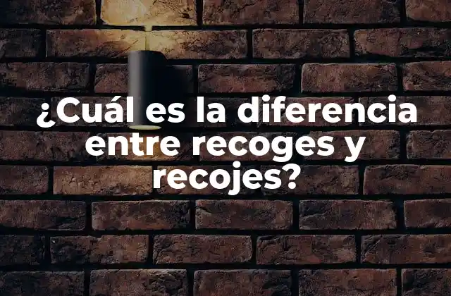 ¿cuál es la Diferencia entre Recoges y Recojes?