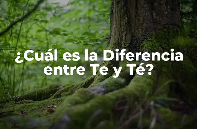 ¿cuál es la Diferencia entre Te y Té?