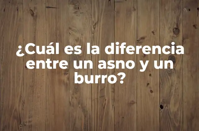 ¿cuál es la Diferencia entre un Asno y un Burro?