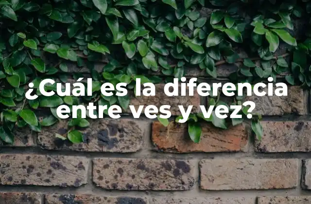 ¿cuál es la Diferencia entre Ves y Vez?