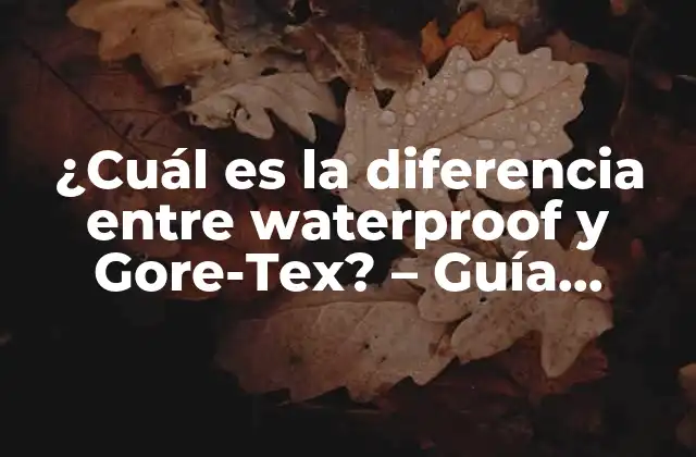 ¿cuál es la Diferencia entre Waterproof y Gore-tex? – Guía Completa