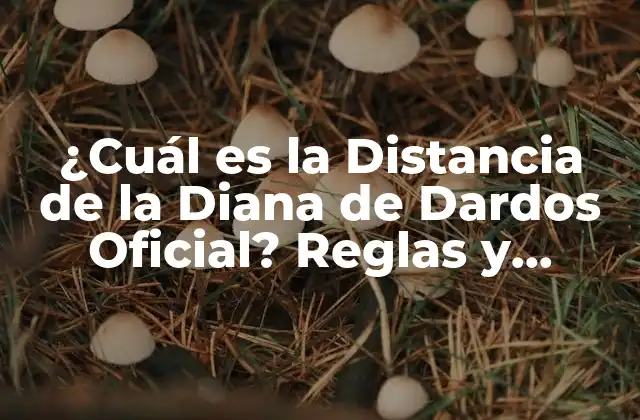¿cuál es la Distancia de la Diana de Dardos Oficial? Reglas y Medidas para Jugadores de Todas las Edades