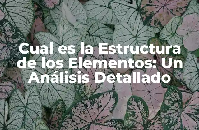 Cual es la Estructura de los Elementos: un Análisis Detallado