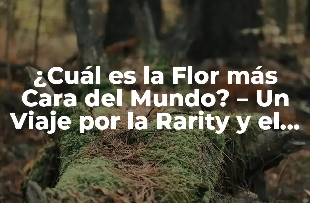 ¿cuál es la Flor Más Cara Del Mundo? – un Viaje por la Rarity y el Lujo