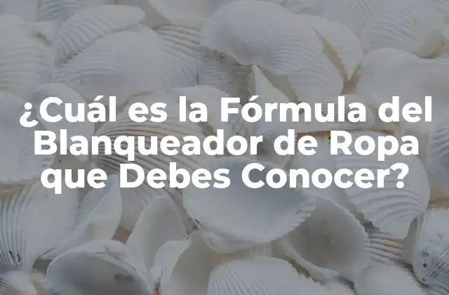 ¿cuál es la Fórmula Del Blanqueador de Ropa que Debes Conocer?