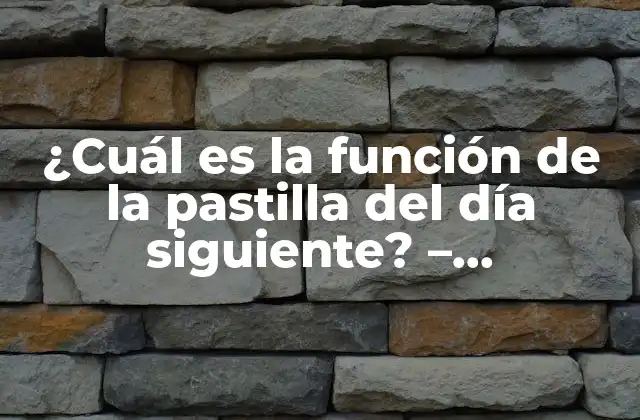 ¿cuál es la Función de la Pastilla Del Día Siguiente? – Anticonceptivo de Emergencia