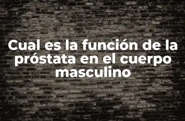 Cual es la Función de la Próstata en el Cuerpo Masculino