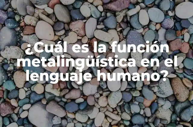 ¿cuál es la Función Metalingüística en el Lenguaje Humano?