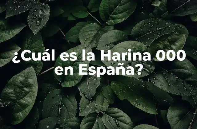 ¿cuál es la Harina 000 en España?