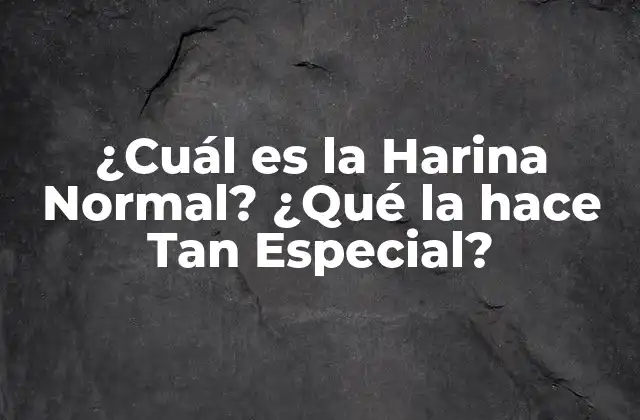 ¿cuál es la Harina Normal? ¿qué la Hace Tan Especial?
