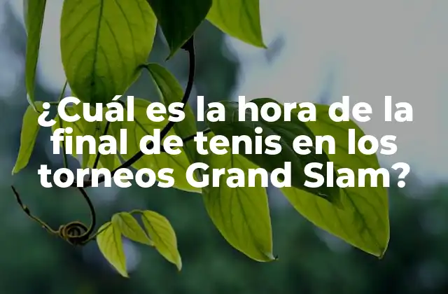 ¿cuál es la Hora de la Final de Tenis en los Torneos Grand Slam?