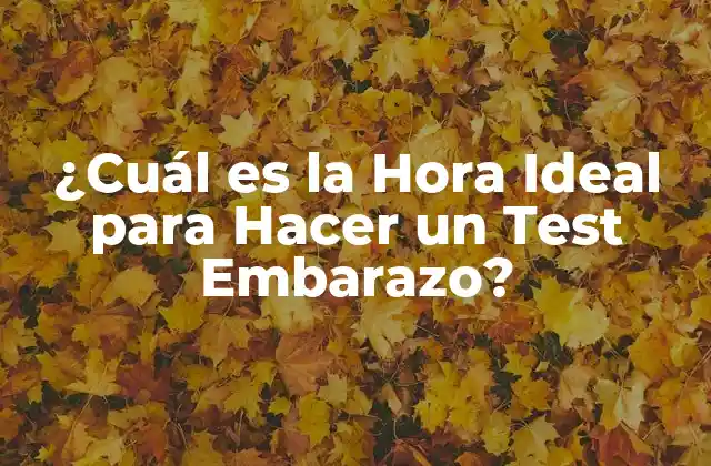 ¿Cómo Funcionan los Tests de Embarazo?