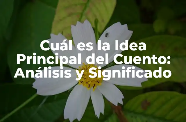 Cuál es la Idea Principal Del Cuento: Análisis y Significado