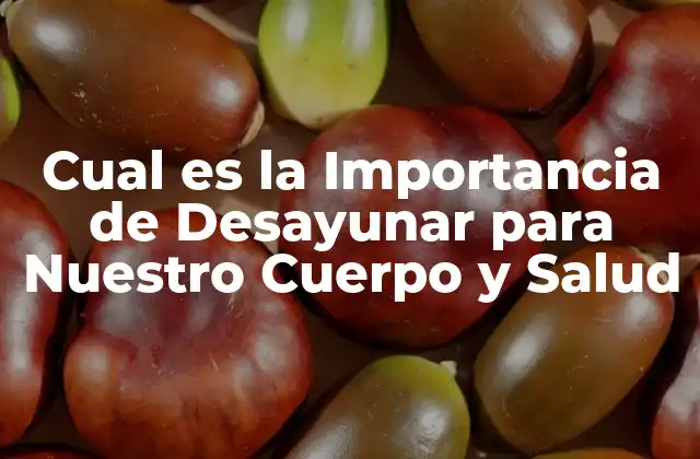 Cual es la Importancia de Desayunar para Nuestro Cuerpo y Salud