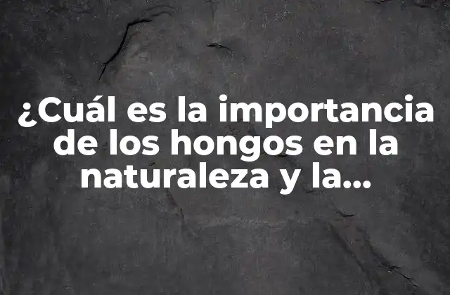 ¿cuál es la Importancia de los Hongos en la Naturaleza y la Sociedad?