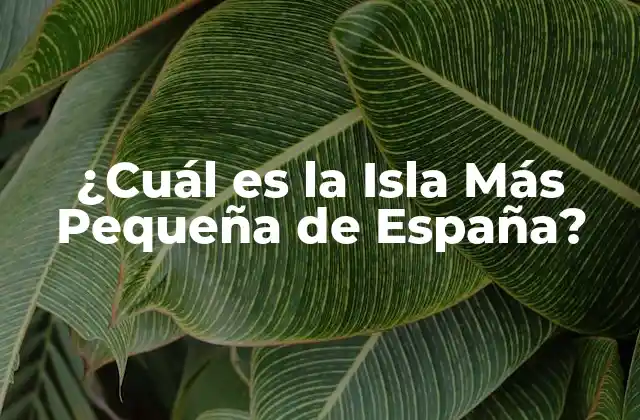 ¿cuál es la Isla Más Pequeña de España?