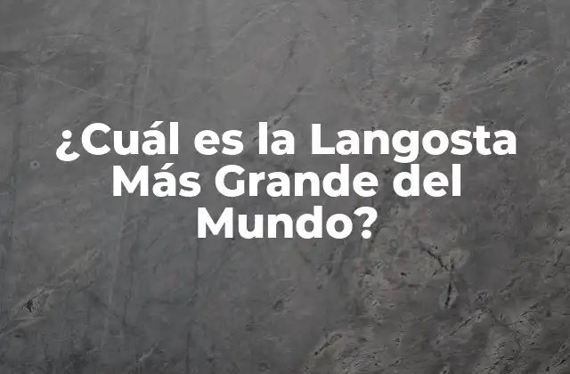 ¿cuál es la Langosta Más Grande Del Mundo?