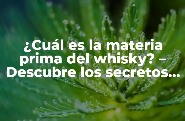 ¿cuál es la Materia Prima Del Whisky? – Descubre los Secretos Detrás de la Producción de Whisky