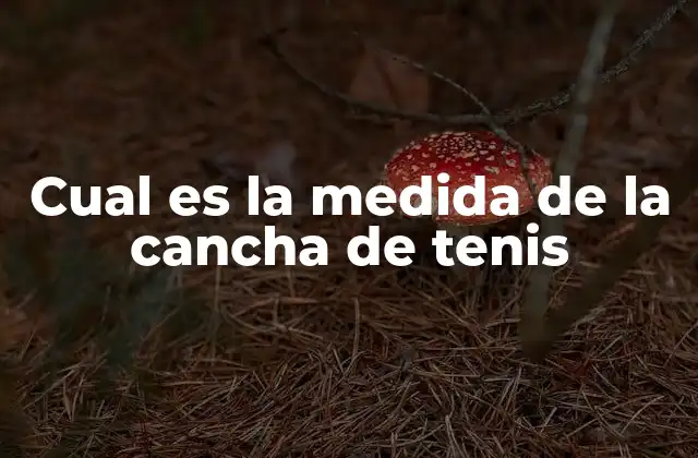 Historia de la medida de la cancha de tenis