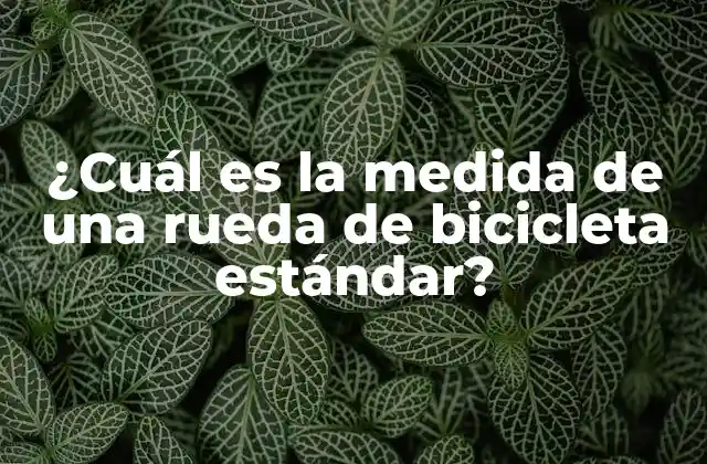 ¿cuál es la Medida de una Rueda de Bicicleta Estándar?