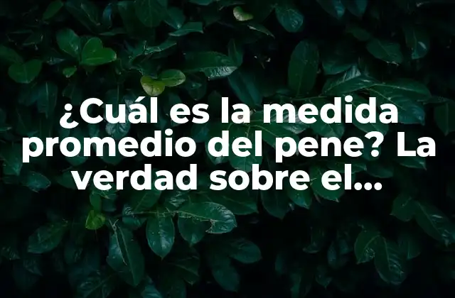¿cuál es la Medida Promedio Del Pene? la Verdad sobre el Tamaño Del Pene
