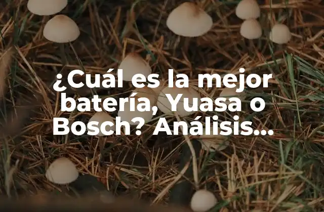 ¿cuál es la Mejor Batería, Yuasa o Bosch? Análisis Detallado y Comparativo