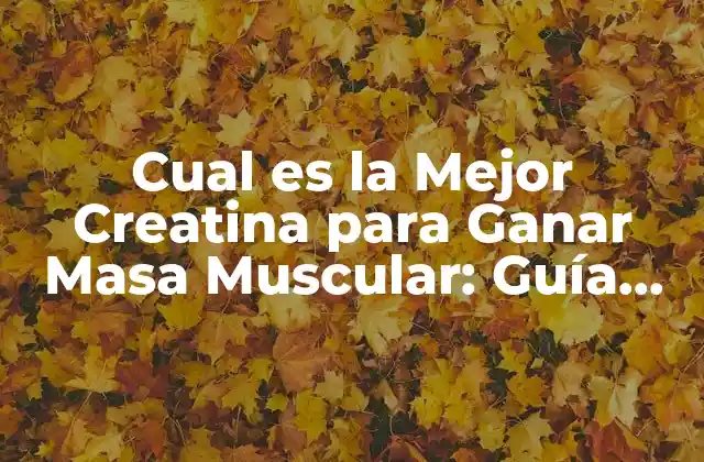 Cual es la Mejor Creatina para Ganar Masa Muscular: Guía Completa