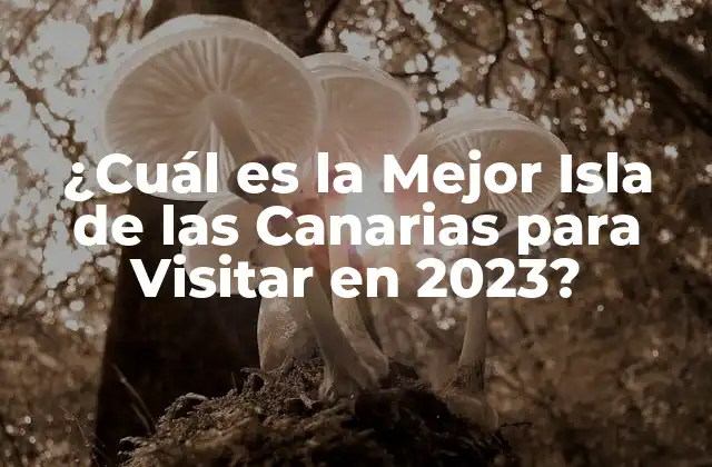 ¿cuál es la Mejor Isla de las Canarias para Visitar en 2023? 2 Gran Canaria, la Isla de los volcanes