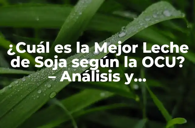 ¿cuál es la Mejor Leche de Soja según la Ocu? – Análisis y Comparativa