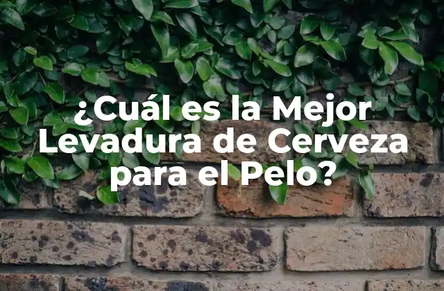 ¿cuál es la Mejor Levadura de Cerveza para el Pelo?