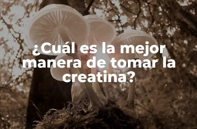 ¿cuál es la Mejor Manera de Tomar la Creatina?