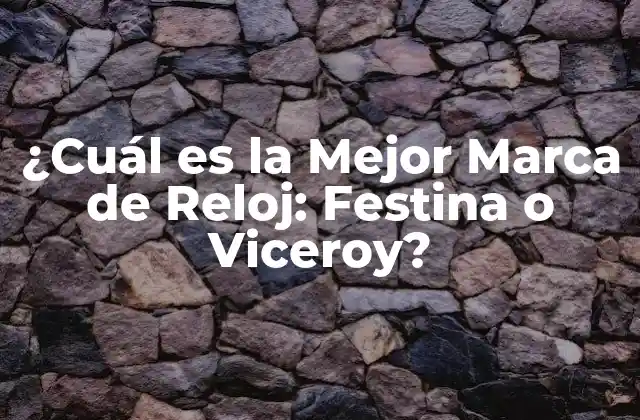¿cuál es la Mejor Marca de Reloj: Festina o Viceroy?