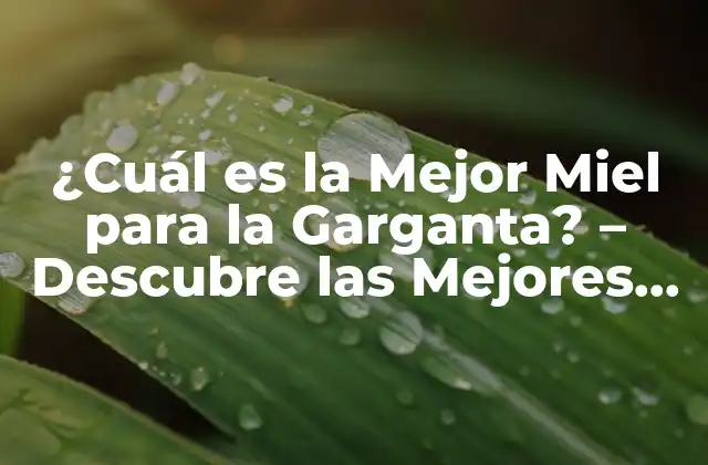 ¿cuál es la Mejor Miel para la Garganta? – Descubre las Mejores Opciones