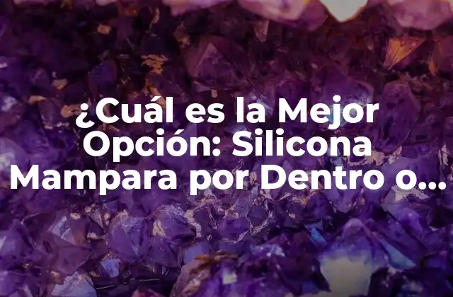 ¿cuál es la Mejor Opción: Silicona Mampara por Dentro o por Fuera?