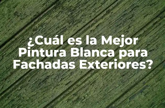 ¿cuál es la Mejor Pintura Blanca para Fachadas Exteriores?