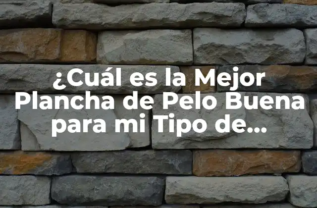 ¿cuál es la Mejor Plancha de Pelo Buena para Mi Tipo de Cabello? 2 ¿Qué es una Plancha de Pelo Buena?