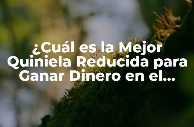 ¿cuál es la Mejor Quiniela Reducida para Ganar Dinero en el Deporte?