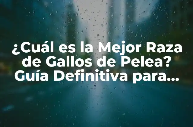 ¿cuál es la Mejor Raza de Gallos de Pelea? Guía Definitiva para Gallos de Combate