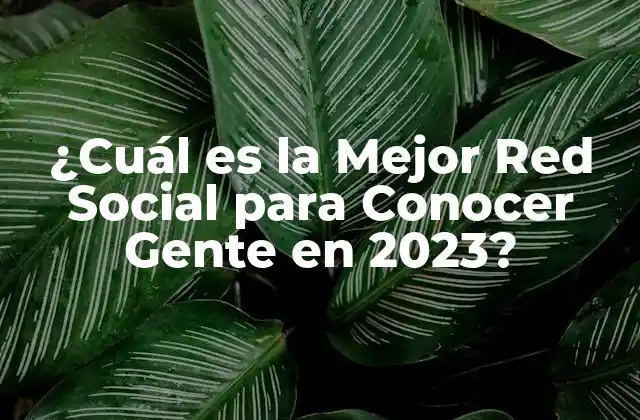 ¿cuál es la Mejor Red Social para Conocer Gente en 2023?