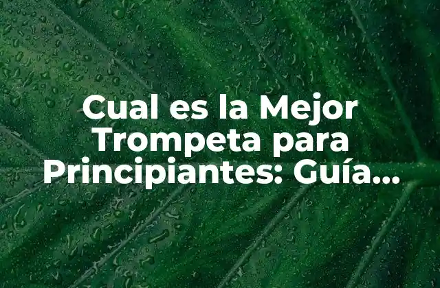 Cual es la Mejor Trompeta para Principiantes: Guía Completa