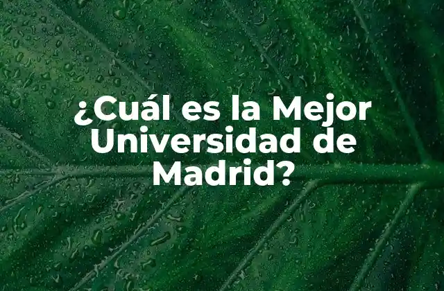 ¿Qué Se Busca en la Mejor Universidad de Madrid?