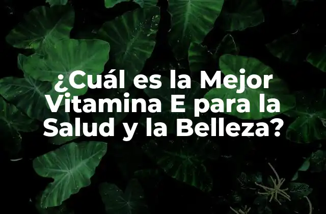 ¿Qué son los tipos de Vitamina E?