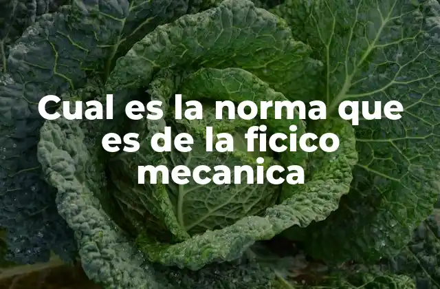 Cual es la Norma que es de la Ficico Mecanica