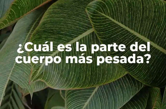 ¿cuál es la Parte Del Cuerpo Más Pesada?