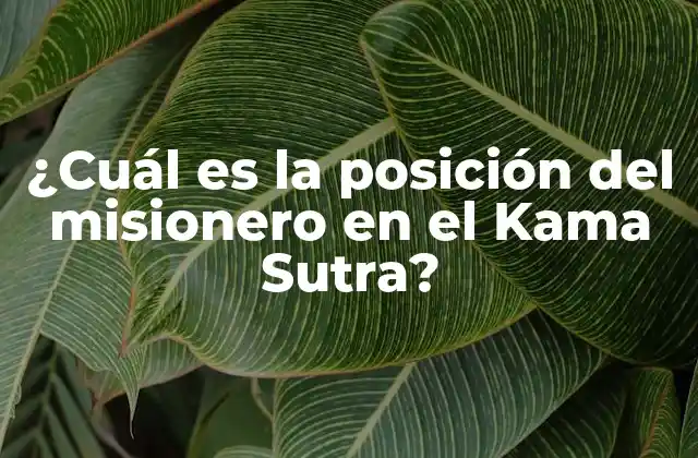 ¿cuál es la Posición Del Misionero en el Kama Sutra?