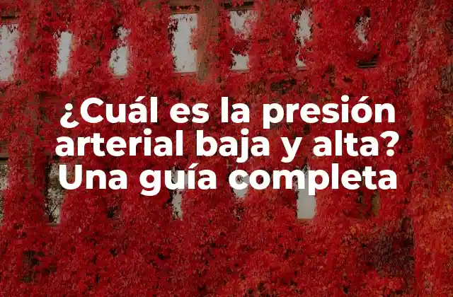 ¿cuál es la Presión Arterial Baja y Alta? una Guía Completa