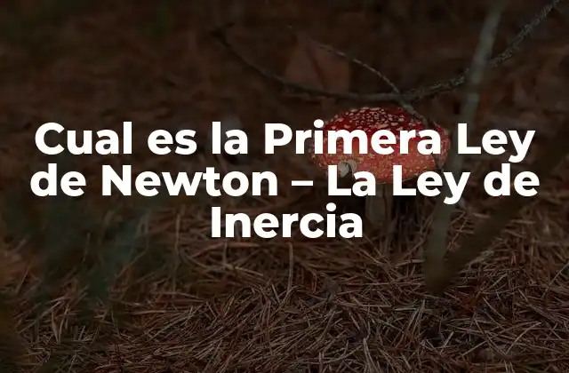Cual es la Primera Ley de Newton – la Ley de Inercia